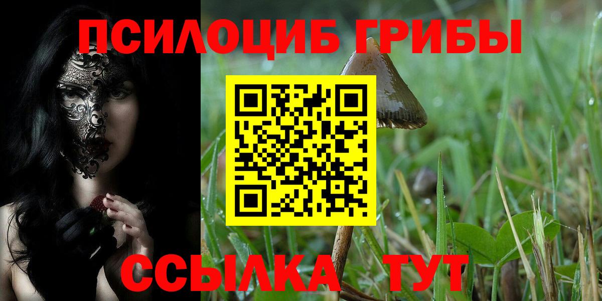 Псилоцибиновые грибы MAGIC MUSHROOMS Ступино